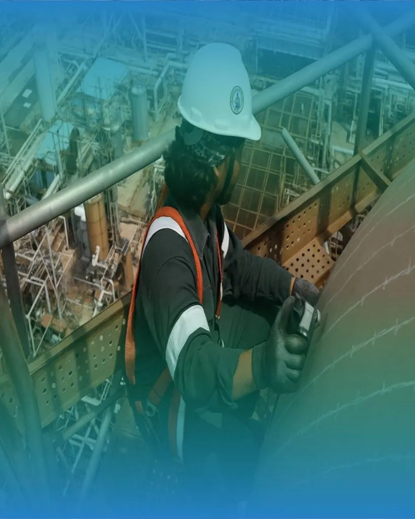 Inspection Service