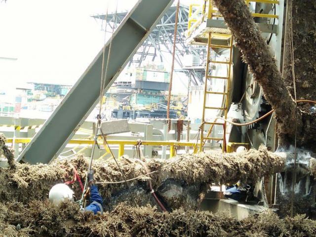 advantage marine services ship maintenance topside underwater steel fabrication engineering others