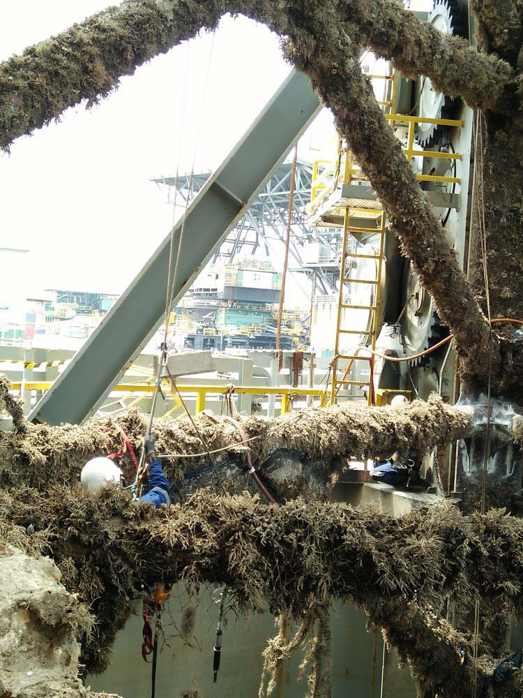 advantage marine services ship maintenance topside underwater steel fabrication engineering others