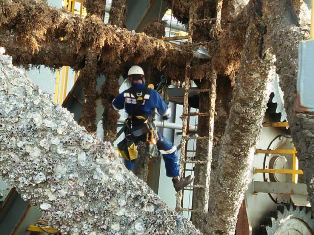 advantage marine services ship maintenance topside underwater steel fabrication engineering others