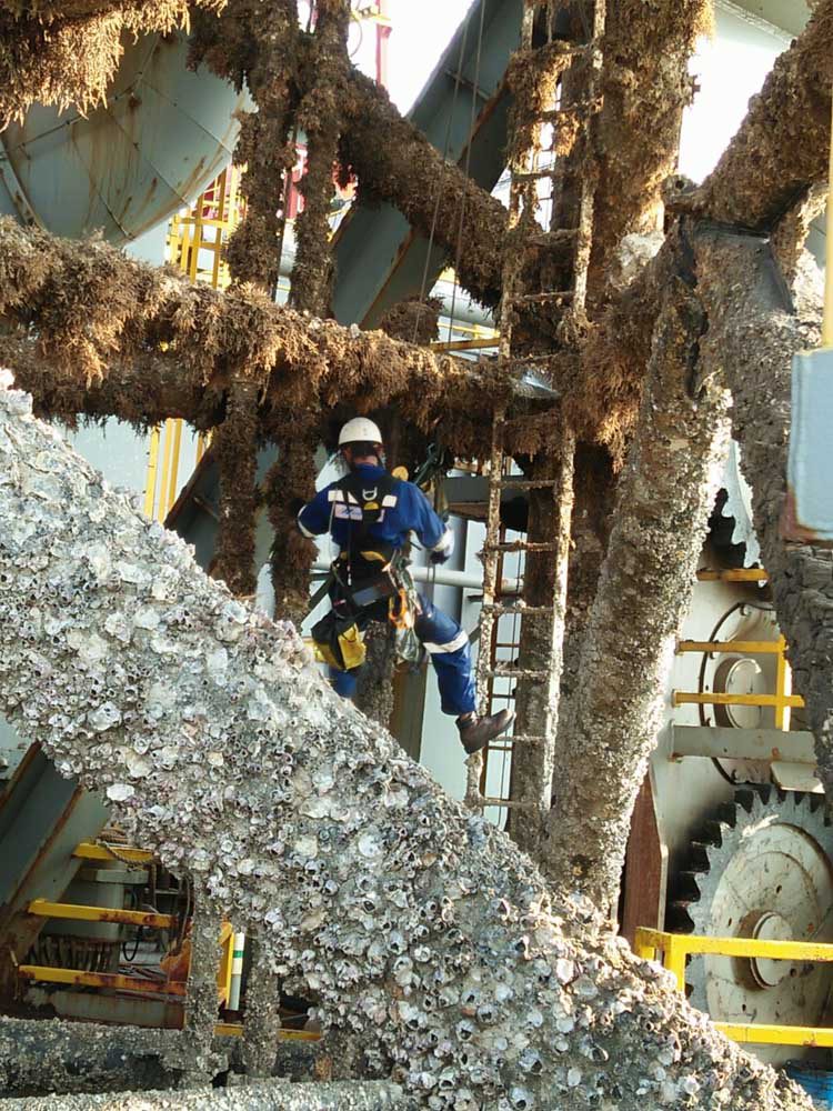 advantage marine services ship maintenance topside underwater steel fabrication engineering others